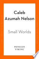 Small Worlds