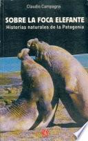 Sobre la foca elefante