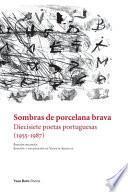Sombras de porcelana brava