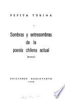 Sombras y entresombras de la poesía chilena actual