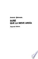 Soñé que la nieve ardía
