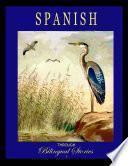 Spanish Through Bilingual Stories I