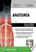 SRT. Anatomía