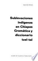 Sublevaciones indígenas en Chiapas