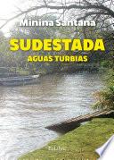 Sudestada. Aguas turbias