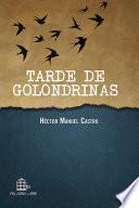 Tarde de golondrinas