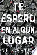 Te Espero En Algún Lugar