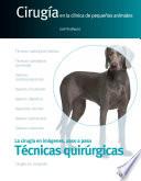 Técnicas quirúrgicas. Cirugía en la clínica de pequeños animales