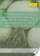Tecnología de producción y almacenamiento de cebolla de bulbo (Allium cepa L.)