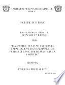 Tesis: Diagnostico de las Necesidades de Capacitacion de los Barman de los Hoteles de Cinco Estrellas de Toluca y Metepec