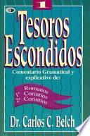 Tesoros Escondidos