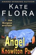 The Angel of Knowlton Park (A Joe Burgess Mystery, Book 2)