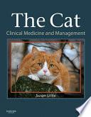 The Cat