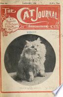 The Cat Journal