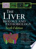 The Liver