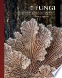 The Lives of Fungi