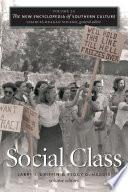 The New Encyclopedia of Southern Culture