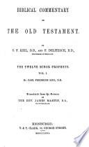 The Twelve Minor Prophets