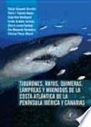 Tiburones, rayas, quimeras, lampreas y mixínidos de la costa atlántica de la Península Ibérica y Canarias
