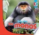 Todo sobre los monos