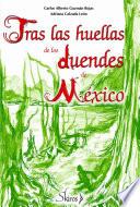 Tras las huellas de los duendes de México