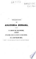 Tratado de anatomía humana