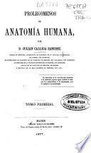 Tratado de anatomía humana
