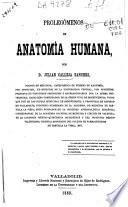 Tratado de anatomía humana