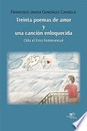 Treinta poemas de amor y una canción enloquecida