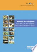UN Millennium Development Library: Investing in Development