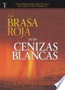 Una Brasa Roja En Las Cenizas Blancas (Red Ember, White Ashes): Spanish