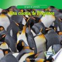 Una colonia de Pingüinos (A Penguin Colony)