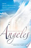 Una Guía esencial sobre los ángeles