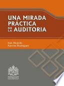 Una mirada práctica de la auditoría