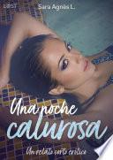 Una noche calurosa - un relato corto erótico