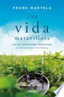 Una vida maravillosa