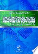 Valoración del activo intangible en empresas mipymes de software