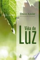 Viña de luz