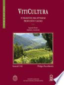 Viticultura