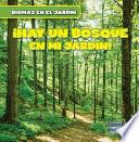 Vivo cerca de un bosque (There's a Forest in My Backyard!)