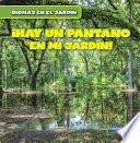 Vivo cerca de un pantano (There's a Swamp in My Backyard!)