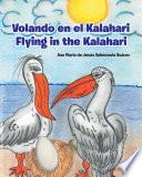 Volando en el Kalahari - Flying in the Kalahari