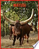 Watusi