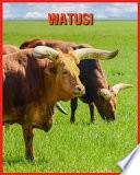 Watusi