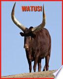 Watusi