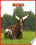 Watusi