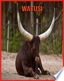 Watusi