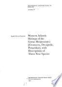 Western Atlantic Shrimps of the Genus Metapenaeopsis (Crustacea, Decapoda, Penaeidae)