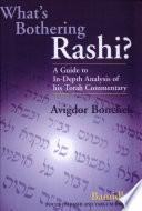 What's Bothering Rashi?: Bamidbar