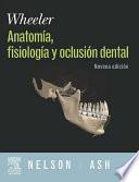 Wheeler, anatomía, fisiología y oclusión dental